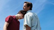 Call Me by Your Name (2017) | Image Source: Sony Pictures Classics